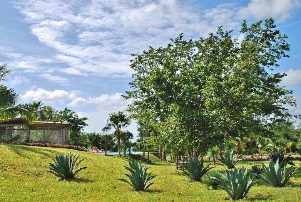 Hotel El Chital Raudales Εξωτερικό φωτογραφία